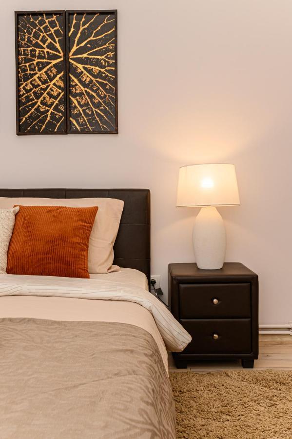 Chic&View Brasov Apartment Zewnętrze zdjęcie